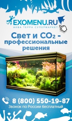 EXOMENU магазин аквариумных рыбок и террариумных животных