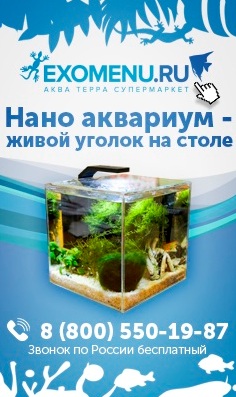 EXOMENU магазин аквариумных рыбок и террариумных животных